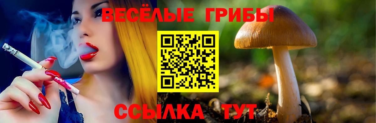 Псилоцибиновые грибы Cubensis Рузаевка